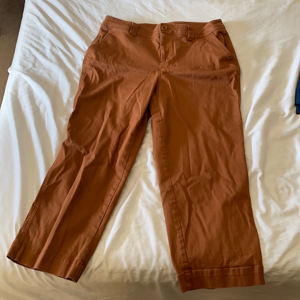 Size 16, ankle cropped pants